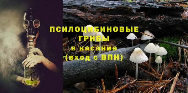 гидропоника Богородицк