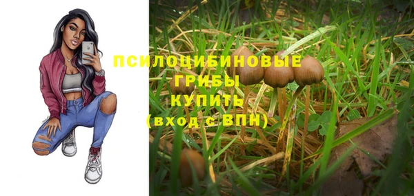 гидропоника Богородицк