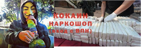 гидропоника Богородицк