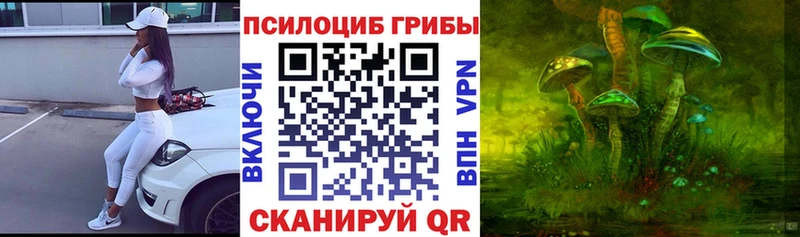 Галлюциногенные грибы Cubensis  что такое   Пятигорск 