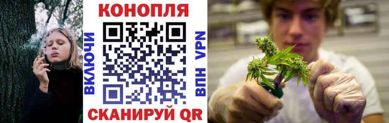 магазин продажи   Пятигорск  blacksprut как войти  сайты даркнета какой сайт  Канабис семена 